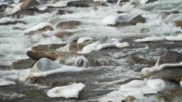 Râul Iarnă Care Curge Peste Zăpadă Pietre Acoperite Gheață Detalii — Videoclip de stoc