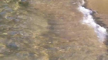 Kumsal, güneşle aydınlanıyor, deniz suyu kıyıya vuruyor, yakın plan ayrıntıları - tropikal tatil arka planının sığ derinliği