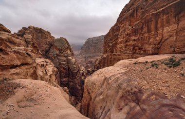 Typical overcast day landscape at Petra, Jordan, rocky walls around narrow canyon, few small bushes growing in red dusty ground