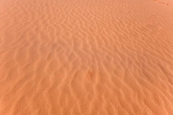 Солнце Светит Красным Песком Пустыни Ветер Образует Небольшие Хребты Подробности — стоковое фото