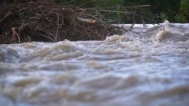 Schmutzige Flutwasser Fließt Schnell Fluss Nahaufnahme Detail Gebrochen Treiben Bäume — Stockvideo