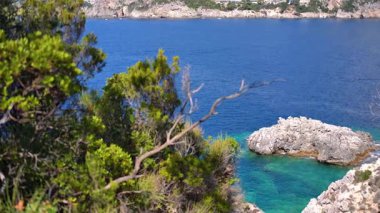 Güneş, Liapades Koyu 'ndaki mavi denizi sakinleştirmek için parıldıyor. Yakınındaki küçük kayalık uçurumun manzarası. Öndeki yeşil kozalaklı ağaçlar ve çalılar.