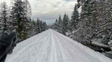 Küçük nehir kıyısında kayak yapan arka kros, her iki tarafta kozalaklı ağaçlar, aksiyon kamerası bakış açısı