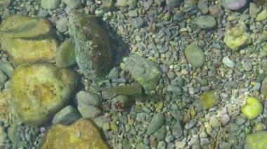 Güneş sığ denizde parlıyor. Yunanistan 'ın Korfu kentindeki Limni plajında küçük çakıl taşları. Deniz burada kristal kadar berrak.