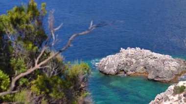 Güneş, Liapades Koyu 'ndaki mavi denizi sakinleştirmek için parıldıyor. Yakınındaki küçük kayalık uçurumun manzarası. Öndeki yeşil kozalaklı ağaçlar ve çalılar.