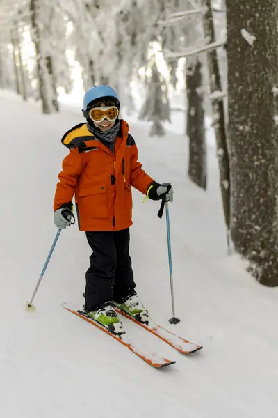 Chłopiec Korzystający Nart Stoku Lesie Słoneczny Dzień Zima — Zdjęcie stockowe