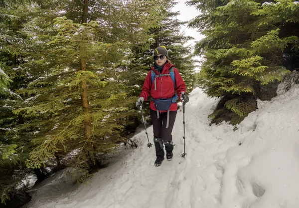 Sportliche Frau Genießt Winterliches Trekking Verschneiten Wald Stockfoto