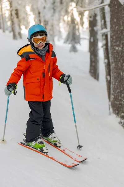 森の斜面でスキーを楽しんでいる少年 晴れた日 冬の時間 — ストック写真