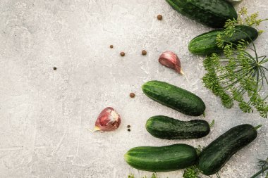 Taze çiftlik salatalıkları kışın organik gıda turşusu için hazır sebze, sarımsak, baharat, karabiber, gri beton arka planda dereotu ile marine edilmiş.