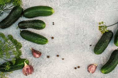 Taze çiftlik salatalıkları kışın organik gıda turşusu için hazır sebze, sarımsak, baharat, karabiber, gri beton arka planda dereotu ile marine edilmiş.