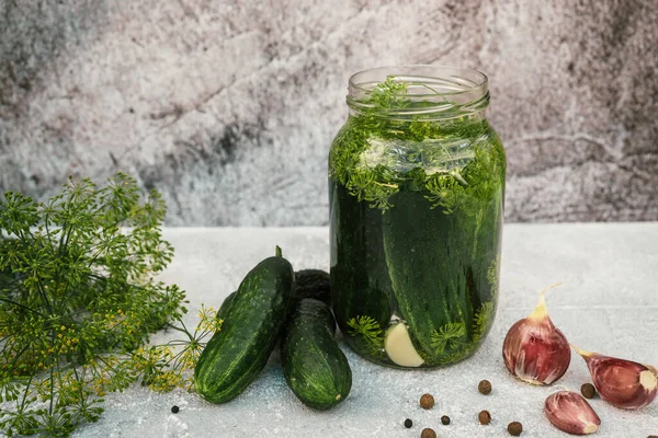 Gurken Einlegen Für Biolebensmittel Winter Glas Mit Eingelegtem Gemüse Knoblauch lizenzfreie Stockfotos