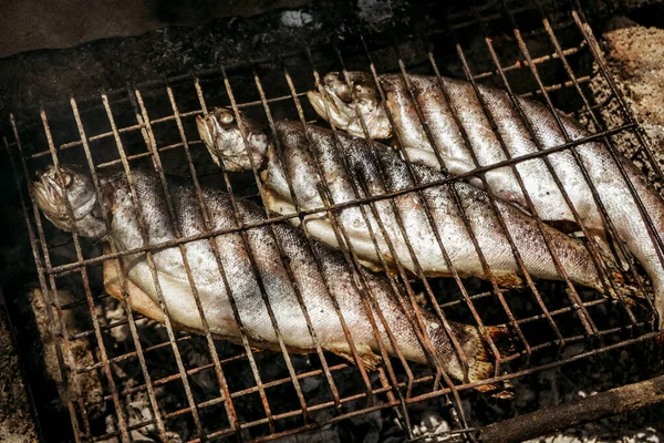 grilled fish on a fire on a barbecue at a picnic, grilled food on a grill