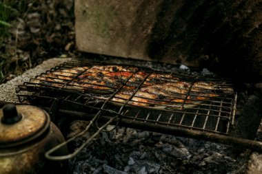Piknikte ateşte ızgara balık, ızgarada ızgara yemek ve Türk çaydanlığı 2