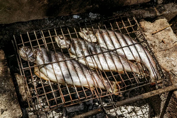 stock image grilled fish on a fire on a barbecue at a picnic, grilled food on a grill