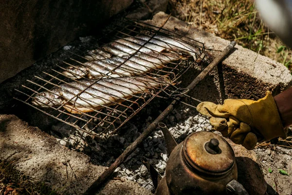 stock image grilled fish on a fire on a barbecue at a picnic, grilled food on a grill and Turkish teapot