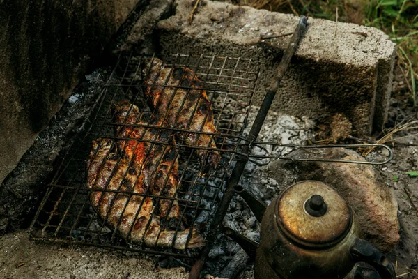 Grillowana Ryba Ognisku Grillu Pikniku Grillowane Jedzenie Grillu Czajniczek Turecki — Zdjęcie stockowe