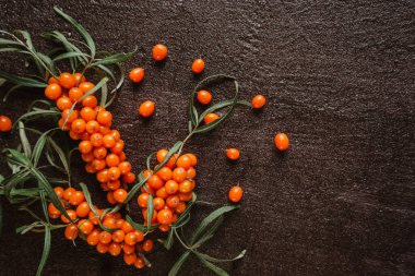 Baharatlı çayı iyileştirmek için taze deniz dikenli üzümleri siyah arka planda metin, harf ya da reklam için