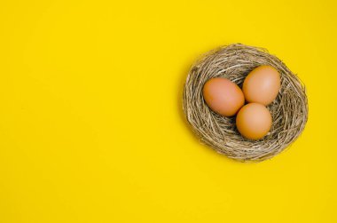 Sarı arka planda kuş yuvasında kahverengi tavuk yumurtası. Paskalya ve sağlıklı beslenme