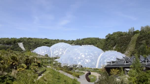 Cornwall England Storbritannien Juni 2023 Eco Park Eden Project Visar — Stockvideo