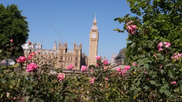 Londýn Velká Británie Července 2022 Big Ben Fountains Revolving Torsion — Stock video