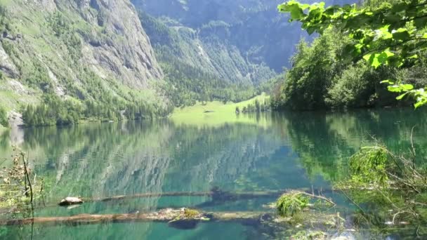 Jezero Obersee Berchtesgaden Bavorsko Německo Přírodní Krajina Rezervovaný Národní Park — Stock video
