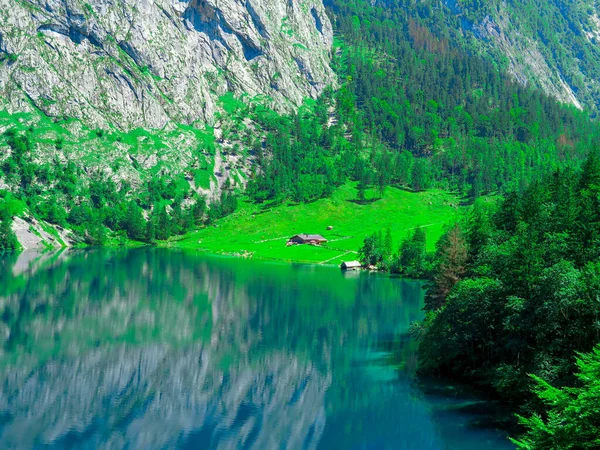 Lago Obersee Berchtesgaden Baviera Alemanha Natureza Paisagem Reserva Parque Nacional — Fotografia de Stock