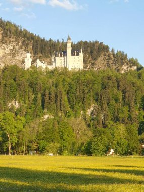 Almanya, Bavyera 'daki Neuschwanstein kraliyet kalesinin manzarası. Tarihi Kale 'nin binası.