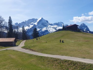 Manzara manzarası Eckbauer Alm dağ çayırı Garmisch yakınlarında