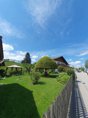 Bahçede kubbe şeklindeki yeşil ağaçla kaplı bahçe manzarası. Almanya, Bavyera 'da tipik bir bahçe