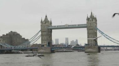 Tower Köprüsü manzarası, Londra, İngiltere. Londra 'da, Thames nehri, Tower köprüsü ve uçan martılar yakınında gri bir gün..