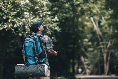 Yürüyüşçüler ormanda sırt çantalı yürüyüş direğini kullanırlar. yürüyüş ve macera konsepti.