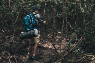 Yürüyüşçüler ormanda sırt çantalı yürüyüş direği kullanırlar. yürüyüş ve macera konsepti.