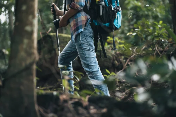 ハイカーはバックパック付きのトレッキングポールを使用し 森を歩くテントバッグを保持します ハイキングとアドベンチャーのコンセプト — ストック写真