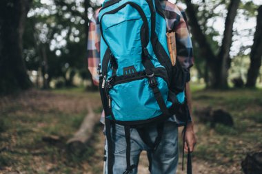 Yürüyüşçüler sırt çantalı yürüyüş direğini kullanır ve ormanda yürürken çadır çantasını tutarlar. yürüyüş ve macera konsepti.