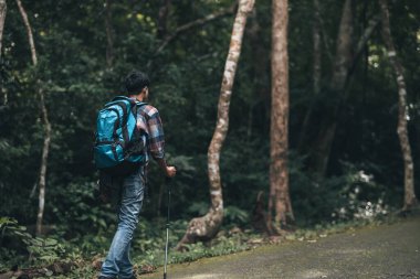 Yürüyüşçüler sırt çantalı yürüyüş direğini kullanır ve ormanda yürürken çadır çantasını tutarlar. yürüyüş ve macera konsepti.