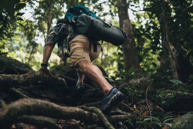 Yürüyüşçüler sarmaşıklara tırmanmak için ellerini kullanıyorlar. yürüyüş ve macera konsepti.