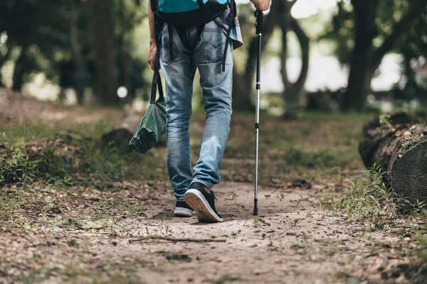 Hikers Use Trekking Pole Backpacks Hold Tent Bag Walking Forest — Stock Photo, Image
