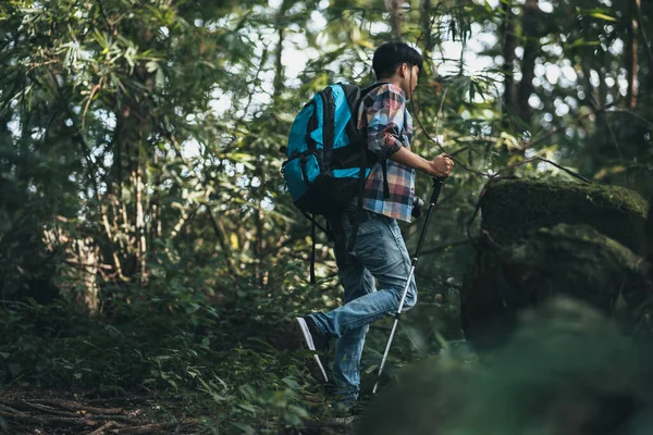 Turyści Używają Kija Trekkingowego Plecakami Trzymają Torbę Namiotową Spacerując Lesie — Zdjęcie stockowe