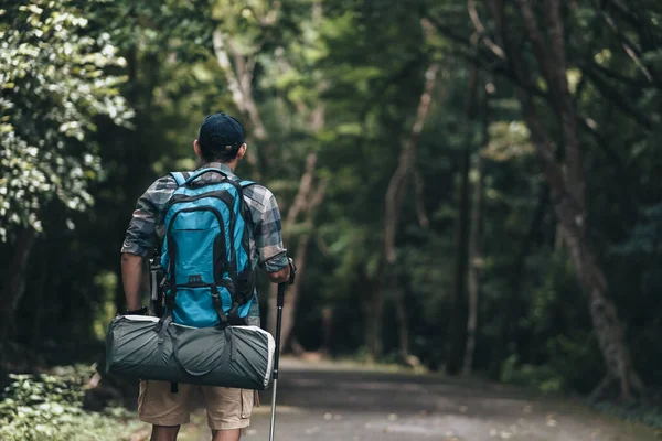 Turisté Používají Trekking Tyč Batohy Silnici Lese Turistický Dobrodružný Koncept — Stock fotografie