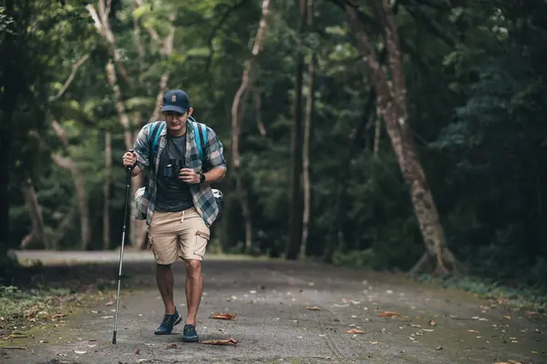 Hikers Use Trekking Pole Backpacks Walking Road Forest Hiking Adventure — Foto de Stock
