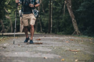 Hikers use trekking pole with backpacks walking through on the road in the forest. hiking and adventure concept.