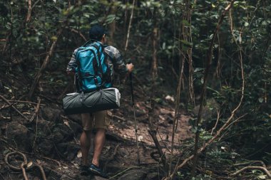Yürüyüşçüler ormanda sırt çantalı yürüyüş direği kullanırlar. yürüyüş ve macera konsepti.