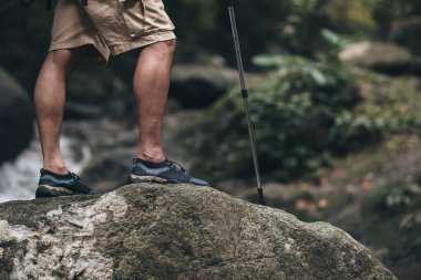 Yürüyüşçüler ormanda kayaların üzerinde duran sırt çantalı yürüyüş direğini kullanırlar. yürüyüş ve macera konsepti.