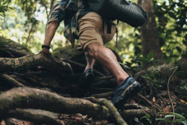 Yürüyüşçüler sarmaşıklara tırmanmak için ellerini kullanıyorlar. yürüyüş ve macera konsepti.