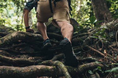 Yürüyüşçüler sarmaşıklara tırmanmak için ellerini kullanıyorlar. yürüyüş ve macera konsepti.