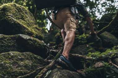 Yürüyüşçüler sarmaşıklara tırmanmak için ellerini kullanıyorlar. yürüyüş ve macera konsepti.