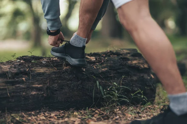 Sport man  tying jogging shoes in the forest. Outdoor workout,  Healthy lifestyle concept.