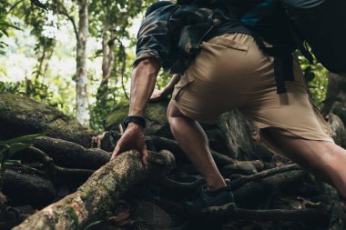 Yürüyüşçüler sarmaşıklara tırmanmak için ellerini kullanıyorlar. yürüyüş ve macera konsepti.