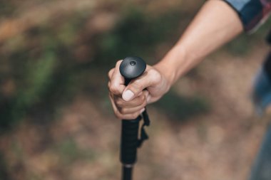 Yürüyüşçüler sırt çantalı yürüyüş direğini kullanır ve ormanda yürürken çadır çantasını tutarlar. yürüyüş ve macera konsepti.