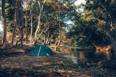 Ormandaki çimlerin üzerinde yeşil çadır Arkadaki manzara sabahları dağdır. Kamp, seyahat ve tatil konsepti.